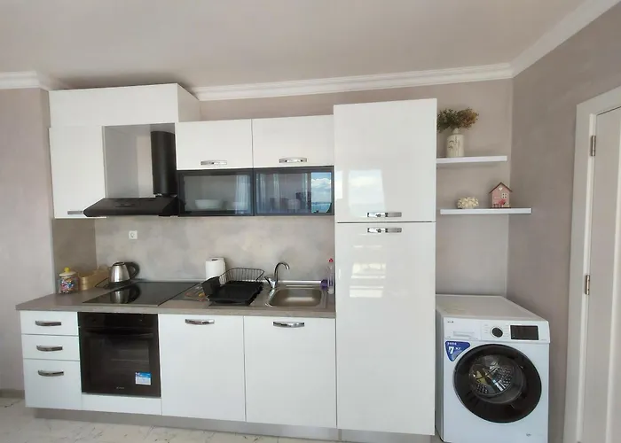 Sofi's Harmony * ブルガス